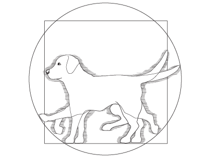vitruvianDog.png